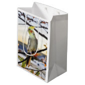 Cockatielのプロフィールの写真 ミディアムペーパーバッグ (裏面アングル)