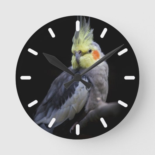 Cockatielの時計2 ラウンド壁時計 (正面)