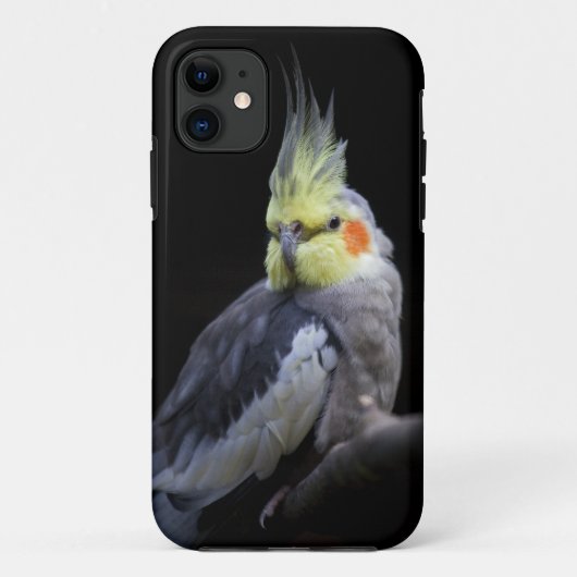 CockatielのiPhone 5の穹窖の箱 Case-Mate iPhoneケース (裏面)