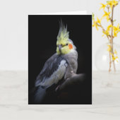 Cockatielカード カード (黄色い花)