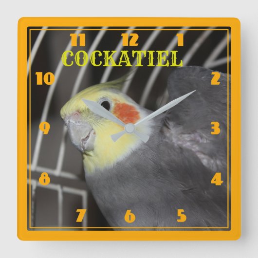 COCKATIELクローズアップスクウェア時計 スクエア壁時計 (正面)