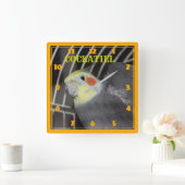 COCKATIELクローズアップスクウェア時計 スクエア壁時計 (ホーム)