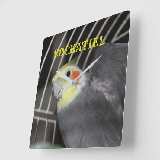 COCKATIELクローズアップスクウェア時計 スクエア壁時計 (傾斜)