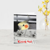 Cockatiel行方不明 カード (黄色い花)