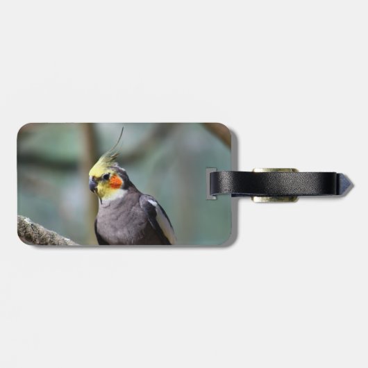 Cockatiel ラゲッジタグ (裏面横)