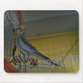 Cockatiel Mouse Pad マウスパッド (正面)
