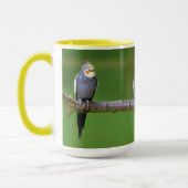 Cockatiel , Nymphicus hcus マグカップ (左)