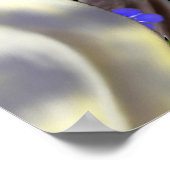 Cockatielsと忘れMe Notsポスター ポスター (角)