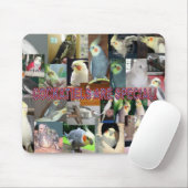 Cockatielsは特別です マウスパッド (マウス)