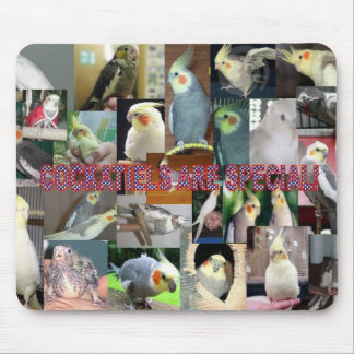 Cockatielsは特別です マウスパッド
