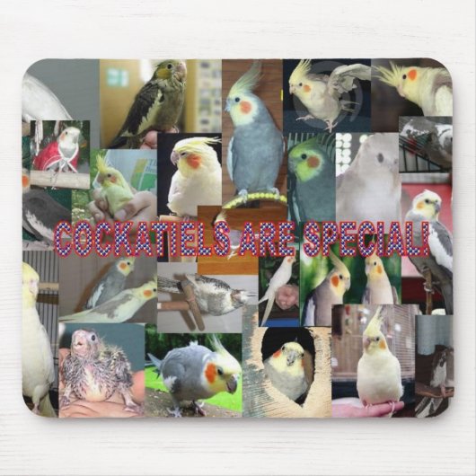 Cockatielsは特別です マウスパッド (正面)