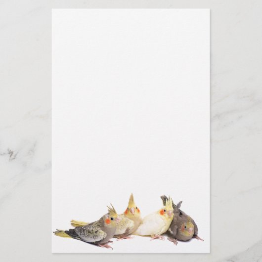 Cockatiels 便箋 (正面)
