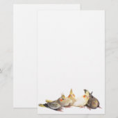 Cockatiels 便箋 (正面/裏面)