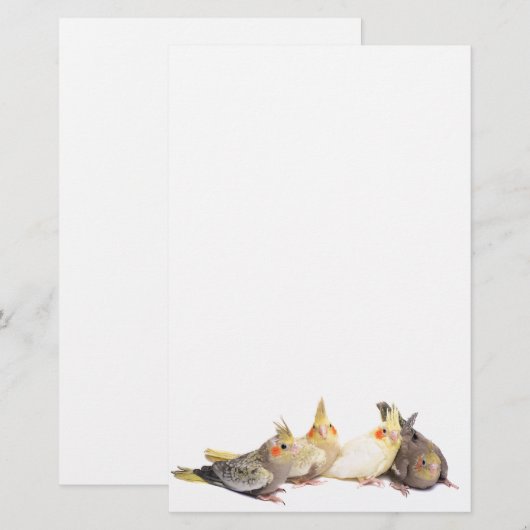 Cockatiels 便箋 (正面/裏面)
