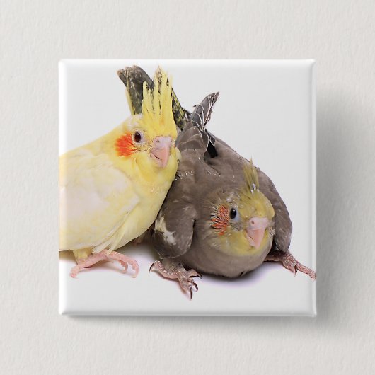 Cockatiels 缶バッジ (正面)