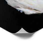 Cockatooポスター24x36" ポスター (角)