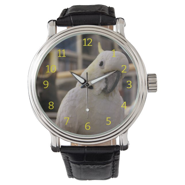 Cockatoo 腕時計 (正面)