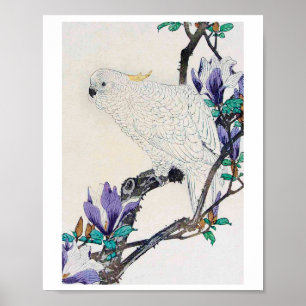 Cockatoo and Lily Magnolia, Imao Keinen ポスター