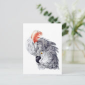 Cockatoo Head (gray)絵画's by Aert Schouma ポストカード (スタンド正面)