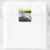 COCKATOO IN RURAL QUEENSLAND AUSTRALIA スクエアシール (バッグ)