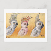 Cockatoos, Louis Wain,  ポストカード (正面)