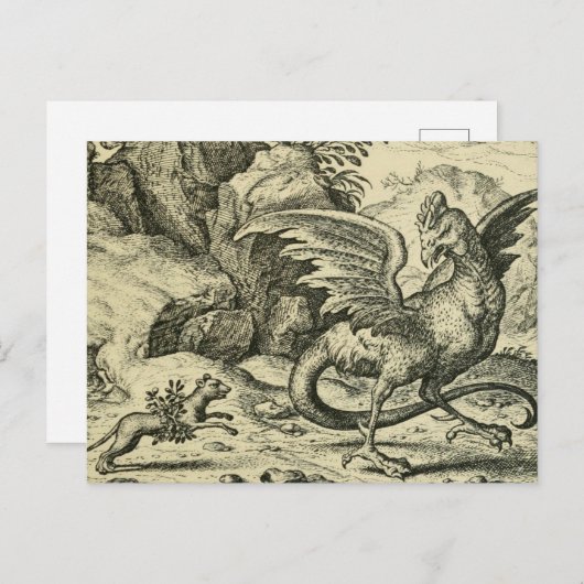 Cockatrice vs.Weasel ポストカード (正面/裏面)