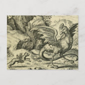 Cockatrice vs.Weasel ポストカード (正面)