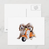 Cockerスパニエル犬のPUPSをMOPEDに追加 ポストカード (正面/裏面)