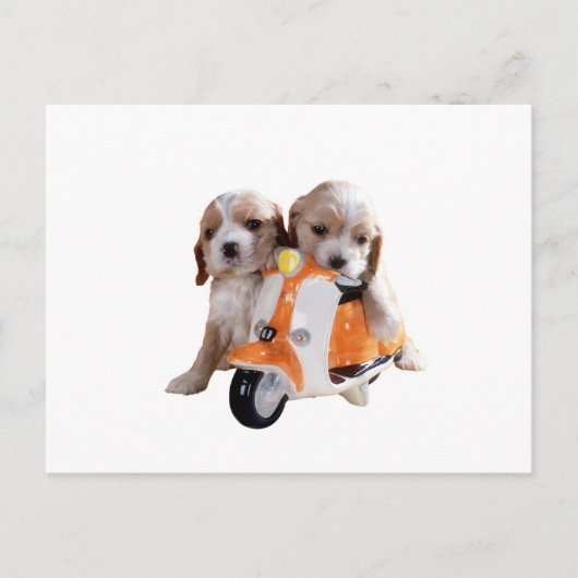 Cockerスパニエル犬のPUPSをMOPEDに追加 ポストカード (正面)