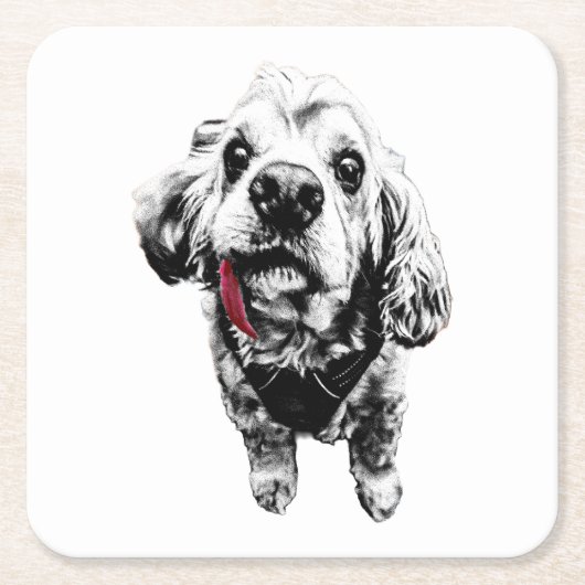 Cocker Spaniel – 気品あふれる一杯 スクエアペーパーコースター (正面)