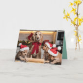 Cocker Spaniel Christmas Cookie Card カード (黄色い花)