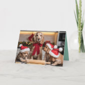 Cocker Spaniel Christmas Cookie Card カード (正面)