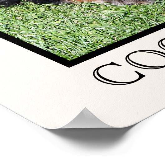 Cocker Spaniel Print ポスター (角)