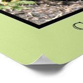 Cocker Spaniel Print ポスター (角)