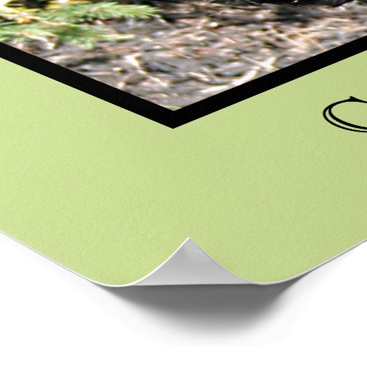 Cocker Spaniel Print ポスター (角)