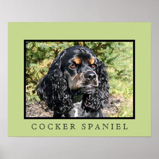 Cocker Spaniel Print ポスター (正面)