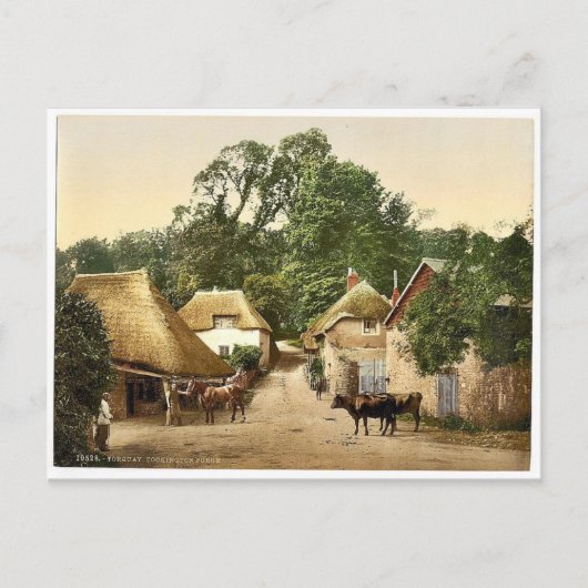 Cockington Forge, Torquay,イングランドクラシックPhotoch ポストカード (正面)