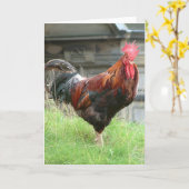 Cockrel カード (黄色い花)