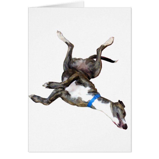 Cockroaching (正面)