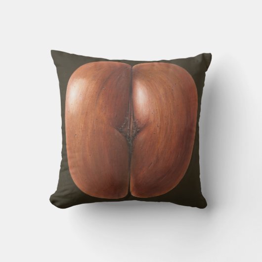 Coco de Merモルディブ2012年 クッション (正面)