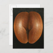 Coco de Mer 2010年 ポストカード (正面/裏面)