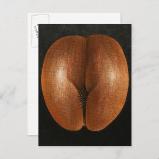 Coco de Mer 2010年 ポストカード (正面/裏面)