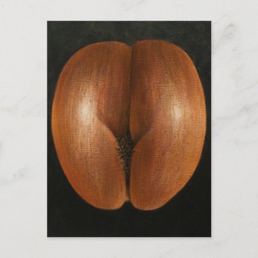 Coco de Mer 2010年 ポストカード (正面)