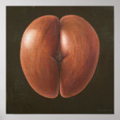 Coco de Mer Maldives 2012 ポスター (正面)