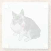 Cocoa Break, Scarlet Tip ガラスコースター (裏面)