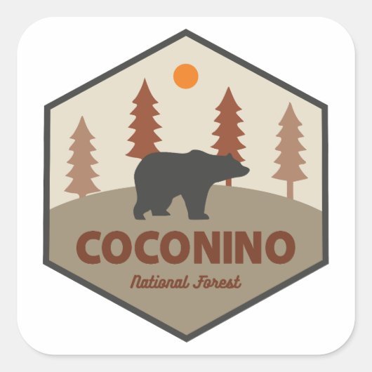 Coconino National Forest Bear スクエアシール (正面)