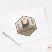 Coconino National Forest Bear スクエアシール (封筒)