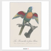 Coconut Lorikeet, Trichoglossus haematodus シール (シート)