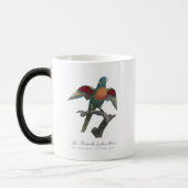 Coconut Lorikeet, Trichoglossus haematodus モーフィングマグカップ (左)