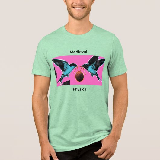 Coconuts Don't Migrate Medieval Physics Tee トライブレンドＴシャツ (正面)